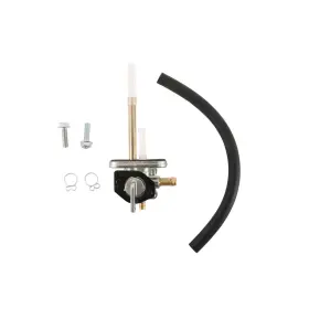 Fs101-0199 Fuel Star All Balls Valve Kit For Kawasaki Ex500 Ninja 2008-2009