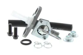 Fs101-0117 Fuel Star Fs1010117 Replacement Valve Kit
