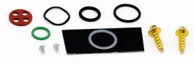 Fpk382-312 Sledpartsguy Ktm Exc 525 2003-2007 Fuel/gas Petcock Repair Kit - Exc525