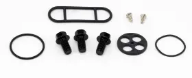 Fpk382-532 Sledpartsguy Kawasaki Klx450r 2008-2009 Fuel/gas Petcock Repair Kit - Klx 450r