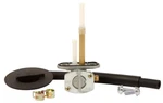 Fuel Star Valve Kit FS101-0053. Fixed Price $66.99.