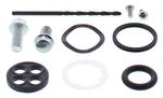 Balls Fuel Tap Repair Kit Honda Rivet Style 60-1218. Fixed Price $26.38.