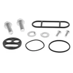 Balls Gas Tap Fuel Petcock Rebuild Repair Kit Honda Interceptor 750 90-91. Fixed Price $34.18.