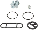 Balls Fuel Tap Repair Kit #60-1093 Kawasaki KX80/KX100 1998-2000. Fixed Price $20.50.