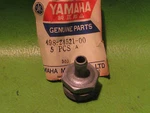 Yamaha XT500 IT400 DT400 IT175 DT250 DT175 Petcock Filter Cup OEM498-24521-00-00. Fixed Price $25.08.