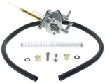 Fuel Star FS101-0139 Valve Kit. Fixed Price $158.95.