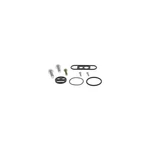 Balls Petcock Repair Kit 60-1007. Fixed Price $21.01.