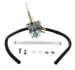 Fuel Star Valve Kit FS101-0142. Fixed Price $116.06.