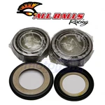 Balls Steering Stem Bearing Kit For 1998-2004 Kawasaki VN1500E Vulcan Lo. Fixed Price $47.85.