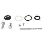 Balls Fuel Petcock Repair Kit 260-1215 135485 ABR60-1215. Fixed Price $22.30.