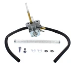 Fuel Star Valve Kit FS101-0142. Fixed Price $151.00.