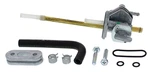 Fuel Star FS101-0137 Valve Kit. Fixed Price $158.95.