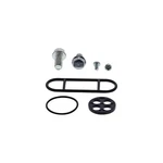 Balls Petcock Repair Kit 60-1079. Fixed Price $19.98.