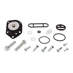Balls Fuel Tap Rebuild Kit For 60-1088. Fixed Price $49.36.