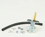 Fuel Star FS101-0155 Valve Kit. Fixed Price $54.95.
