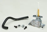 Fuel Star FS101-0029 Valve Kit. Fixed Price $143.95.
