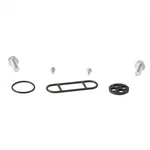 Balls Fuel Tap Repair Kit 60-1094. Fixed Price $22.10.