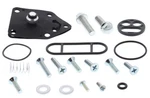 Balls Petcock Repair Kit 60-1053. Fixed Price $39.35.