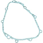 Ricks Motorsport Electric 25-107 Stator Gasket. Fixed Price $12.95.