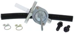 Fuel Star FS101-0146 Valve Kit. Fixed Price $93.95.
