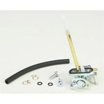 Fuel Star Valve FS101-0123. Fixed Price $73.88.
