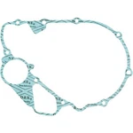 Ricks Motorsport Electric 25-101 Stator Gasket. Fixed Price $13.95.
