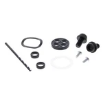Balls Fuel Tap Repair Kit Honda Rivet Style For Fl 250 Odyssey. Fixed Price $25.38.