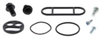 Balls 60-1031 Fuel Petcock Rebuild Kit For 1996-1998 Arctic Cat 454 4X4. Fixed Price $21.88.