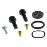 Balls Racing Fuel Tap Repair Kit 60-1029. Fixed Price $20.64.