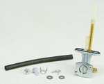 Fuel Star FS101-0157 Valve. Fixed Price $54.95.