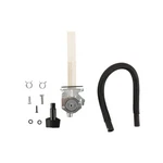 Fuel Star FS101-0216 Valve Kit. Fixed Price $173.95.