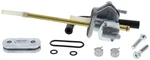 Fuel Star FS101-0136 Valve Kit. Fixed Price $158.95.