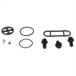 Balls Fuel Tap Repair Kit 60-1084. Fixed Price $31.29.