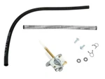 Fuel Star FS101-0037 Valve Kit. Fixed Price $49.99.