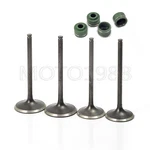 Set Diamond Stainless Kit For Honda 02-06 W/ Seals. Fixed Price $19.99.