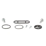Balls Fuel Petcock Rebuild Kit For Kawasaki KX100 2001-2009. Fixed Price $21.52.