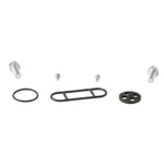 Balls 60-1094 Fuel Petcock Repair Kit. Fixed Price $20.30.