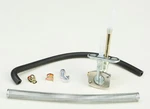 Fuel Star FS101-0126 Valve Kit. Fixed Price $62.95.