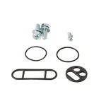 Balls 60-1093 Fuel Tap Repair Kit. Fixed Price $27.41.