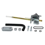 Fuel Star FS101-0137 Valve Kit Dr-z 400 05-14 Sm 08-14 Suzuki. Fixed Price $71.20.