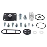Balls Fuel Tap Repair Kit 60-1120 Arctic Cat 400 Dvx 07-08. Fixed Price $51.36.