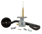 Fuel Star Valve Kit FS101-0051. Fixed Price $61.05.