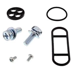 Balls Fuel Tap Repair Kit 60-1089. Fixed Price $22.50.