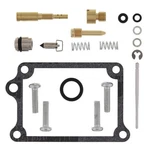 Balls Carburetor Rebuild Kit For Suzuki 2008-2017. Fixed Price $48.85.