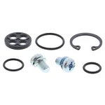 Balls Fuel Tap Repair Kit 60-1096 For Kawasaki 250 Eliminator 88-94. Fixed Price $19.99.