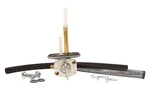 Fuel Star Valve Kit FS101-0043. Fixed Price $44.13.