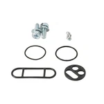 Balls Fuel Tap Repair Kit 60-1093. Fixed Price $32.02.