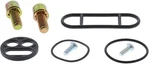 Balls Fuel Tap Repair Kit #60-1035 Polaris. Fixed Price $20.28.