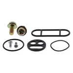 Balls Racing Fuel Tap Repair Kit 60-1049. Fixed Price $31.29.
